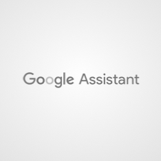 Google Assistant