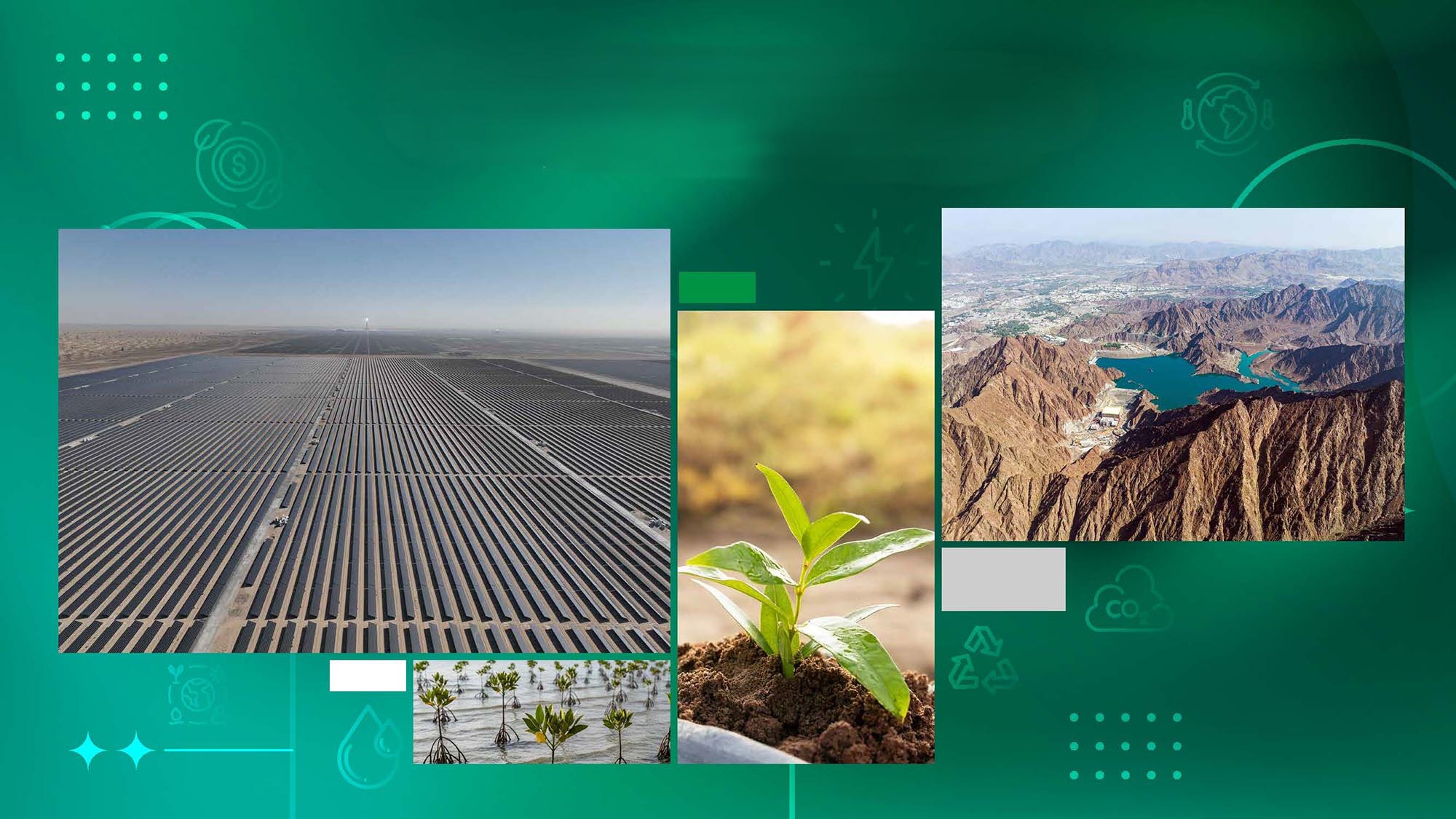 DEWA aligns clean energy projects with environmental stewardship