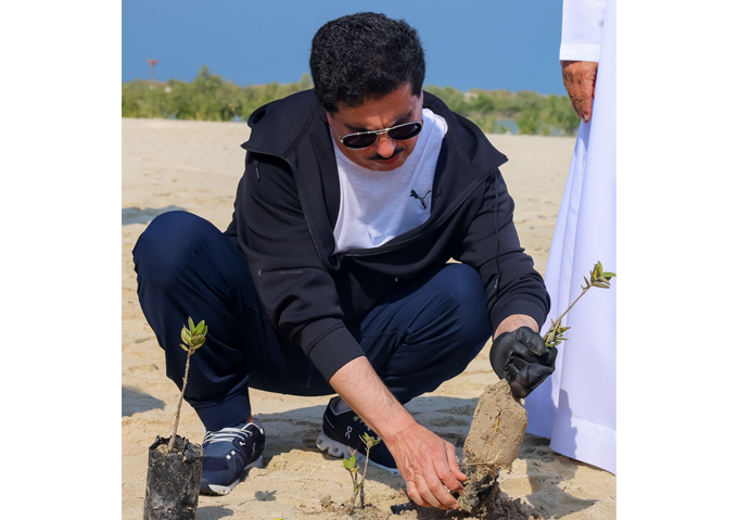 هيئة كهرباء ومياه دبي تنظم فعاليات لزراعة أشجار القرم وتنظيف شاطئ محمية جبل علي البحرية