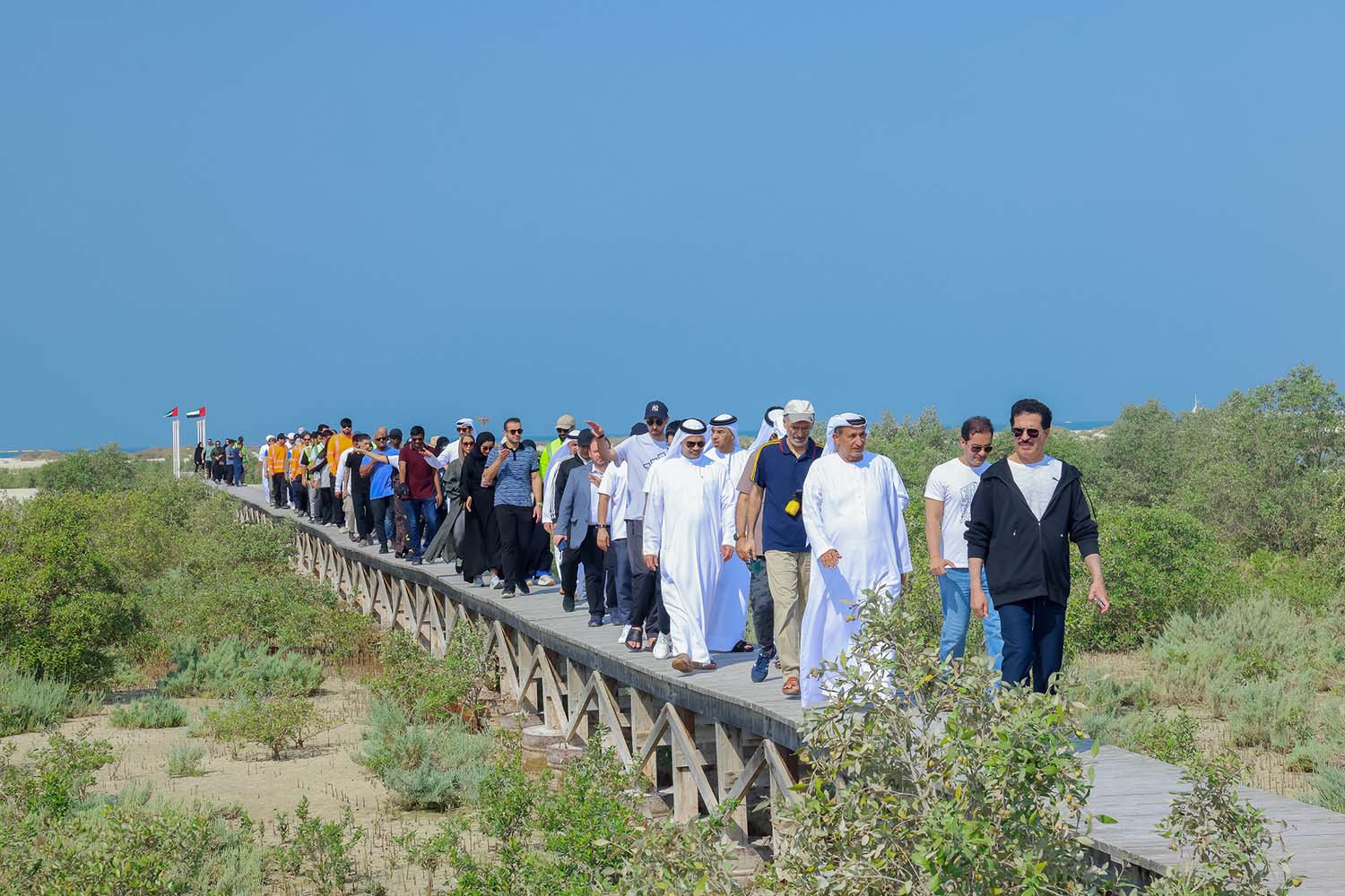 DEWA supports biodiversity and restoration of mangrove forests in cooperation with DECCA